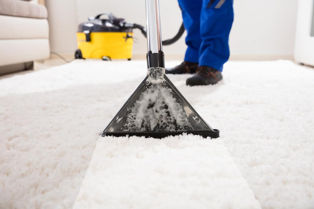 Carpet Cleaning in View, TX