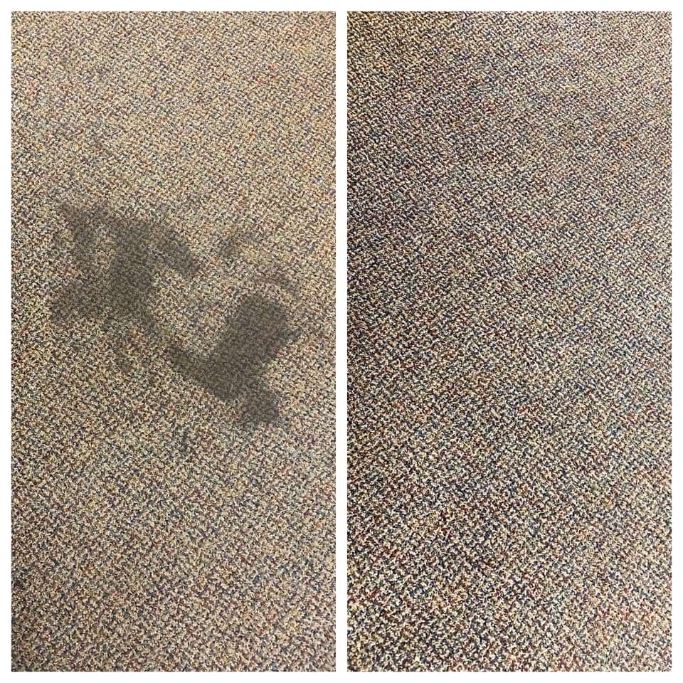 Before and after carpet cleaning service in Abilene, Buffalo Gap, Tuscola, and more! Request your free quote today!